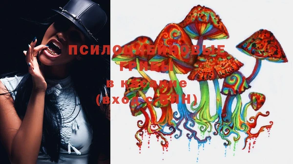 тгк Волоколамск